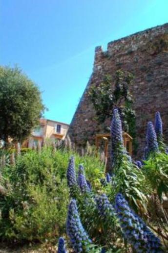Cadre De Reve Vous Faites Le Menage- Very Good Prices But Have To Clea-n Th-e Flat Apartment Cannes